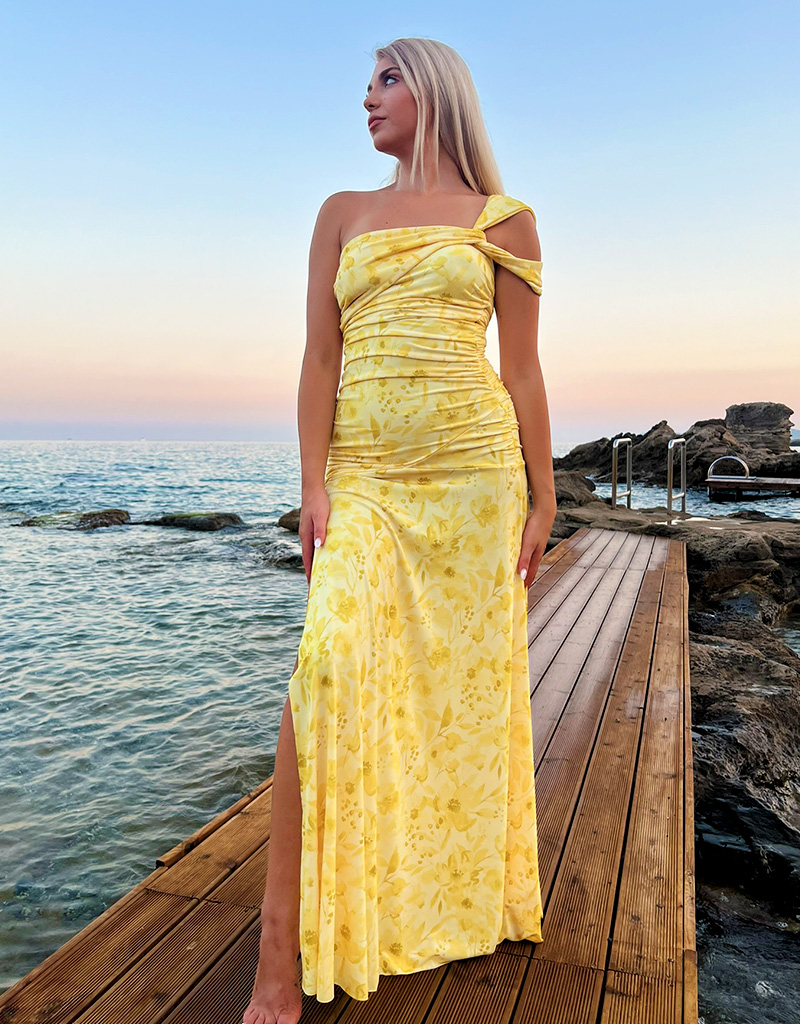 Simone Maxi Dress